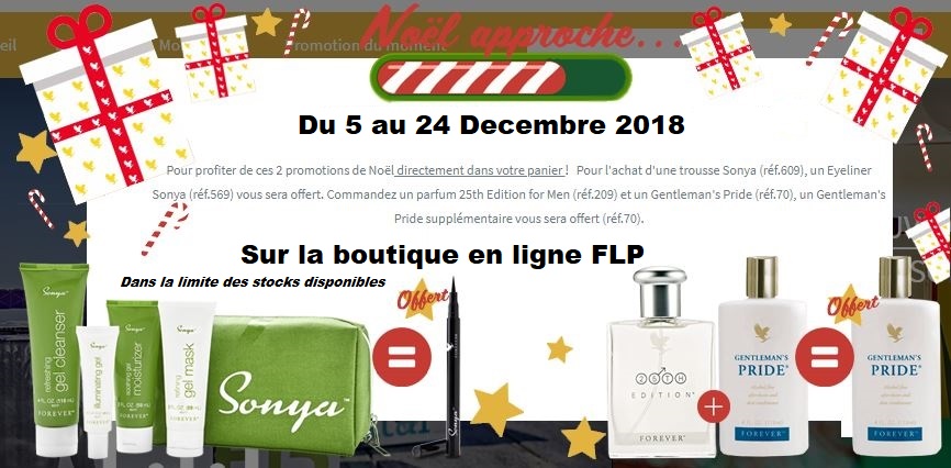Offre Unique Noël 2018